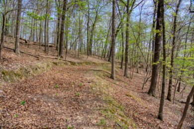 Lake Front 5+ Acres With A View and Wet-Weather Creek! - photo 21