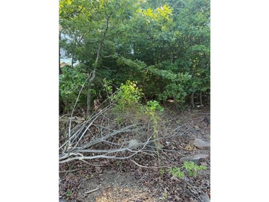It is rare to find a waterfront lot around the lake but here is - photo 5