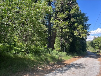 28879 Sycamore Dr - photo 10