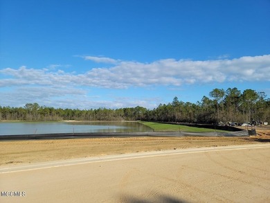 Welcome to the newest neighborhood on ''The Island'' Brookestone - photo 13