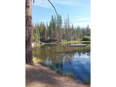 (private lake, pond, creek) Lot For Sale in North Fork California