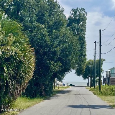 Discover an exceptional opportunity to own nearly half an acre - photo 7