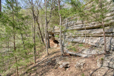 Lake Front 5+ Acres With A View and Wet-Weather Creek! - photo 3