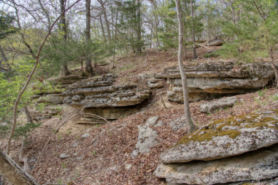Lake Front 5+ Acres With A View and Wet-Weather Creek! - photo 22