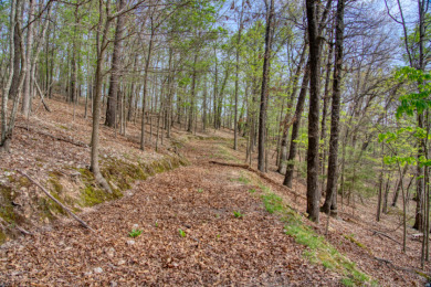 Lake Front 5+ Acres With A View and Wet-Weather Creek! - photo 20