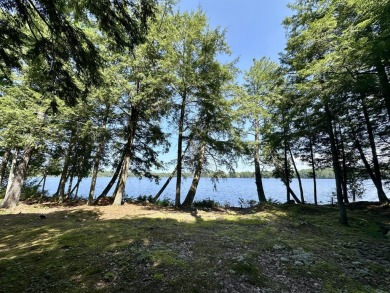 Lake Home For Sale in Newberry, Michigan