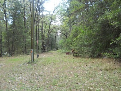 Escape to 15.73 acres of pure East Texas freedom- surrounded on - photo 11