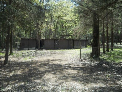 Escape to 15.73 acres of pure East Texas freedom- surrounded on - photo 12