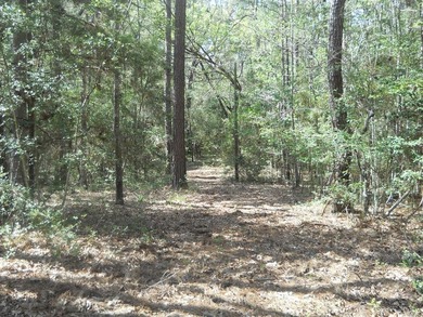 Escape to 15.73 acres of pure East Texas freedom- surrounded on - photo 13