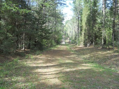 Escape to 15.73 acres of pure East Texas freedom- surrounded on - photo 14