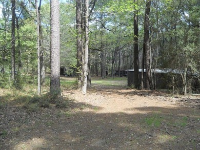 Escape to 15.73 acres of pure East Texas freedom- surrounded on - photo 15