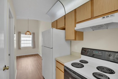MOVE IN CONDITION! All appliances including full size - photo 20