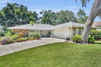 Lake Home For Sale in Eustis, Florida