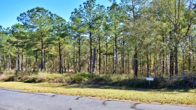 Fantastic Opportunity for Builders, Developers, or Individual - photo 4