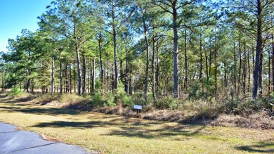 Fantastic Opportunity for Builders, Developers, or Individual - photo 5