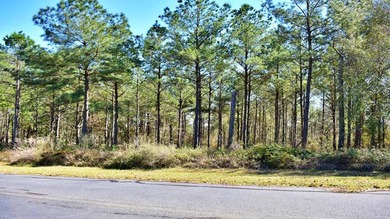 Fantastic Opportunity for Builders, Developers, or Individual - photo 7