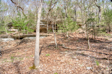 Lake Front 5+ Acres With A View and Wet-Weather Creek! - photo 23