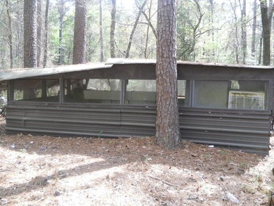Escape to 15.73 acres of pure East Texas freedom- surrounded on - photo 29