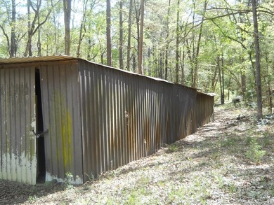 Escape to 15.73 acres of pure East Texas freedom- surrounded on - photo 30