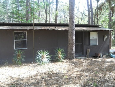Escape to 15.73 acres of pure East Texas freedom- surrounded on - photo 31