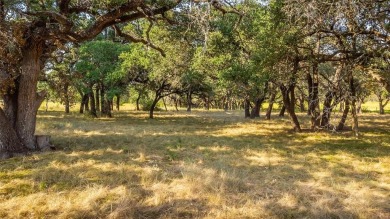 (private lake, pond, creek) Home For Sale in Lometa Texas