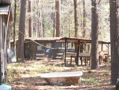 Escape to 15.73 acres of pure East Texas freedom- surrounded on - photo 33