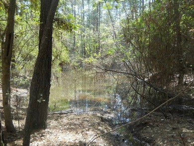 Escape to 15.73 acres of pure East Texas freedom- surrounded on - photo 35
