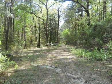 Escape to 15.73 acres of pure East Texas freedom- surrounded on - photo 36