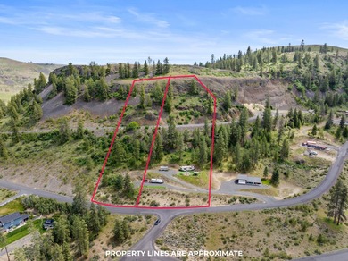 Lake Acreage For Sale in Seven Bays, Washington