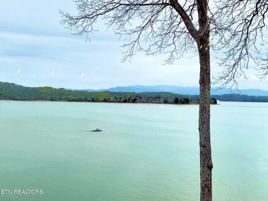 Stunning & Awe-Inspiring Lakefront Living in Rarity Bay where - photo 47