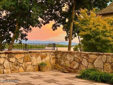 Stunning & Awe-Inspiring Lakefront Living in Rarity Bay where - photo 48