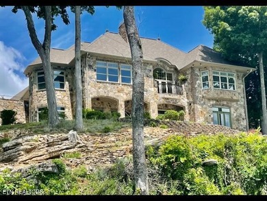 Stunning & Awe-Inspiring Lakefront Living in Rarity Bay where - photo 49