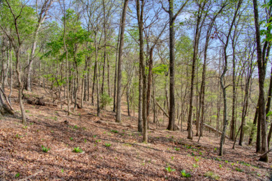 Lake Front 5+ Acres With A View and Wet-Weather Creek! - photo 15