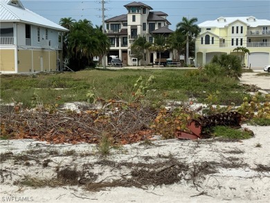 OWN THIS LARGE BEACH FRONT LOT. BEACH DIRECT, with 80 feet road - photo 10