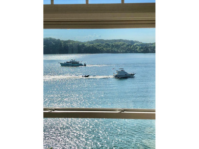 Stunning & Awe-Inspiring Lakefront Living in Rarity Bay where - photo 53