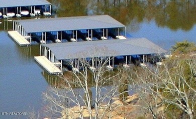 Stunning & Awe-Inspiring Lakefront Living in Rarity Bay where - photo 58