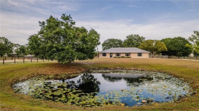 Lake Home For Sale in ST Cloud, Florida