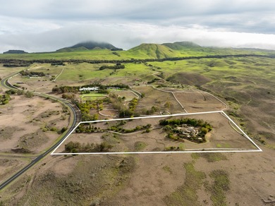 KOHALA RANCH COUNTRY ESTATE: Introducing this exceptional Kohala - photo 3