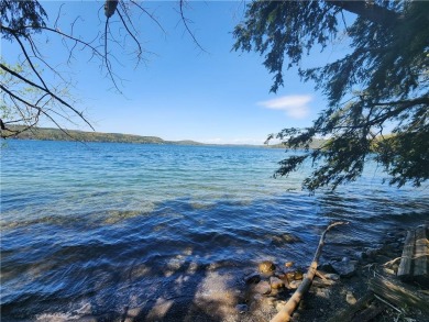 Lake Lot Off Market in Cooperstown, New York
