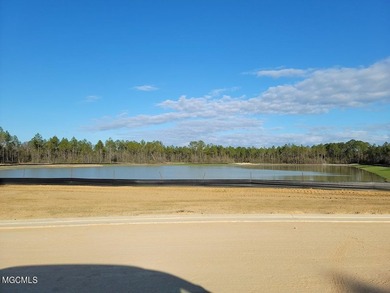 Welcome to the newest neighborhood on ''The Island'' Brookestone - photo 12