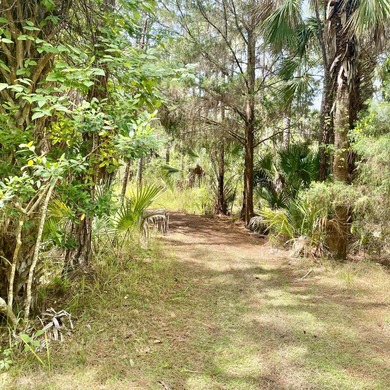 CASH ONLY no owner financing. Taking the simple life outdoors! - photo 13