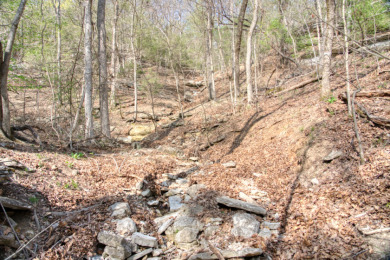 Lake Front 5+ Acres With A View and Wet-Weather Creek! - photo 26