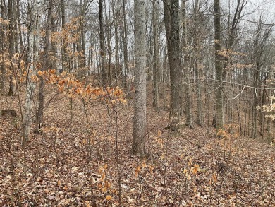 Dale Hollow Lake Lot Sale Pending in Byrdstown Tennessee