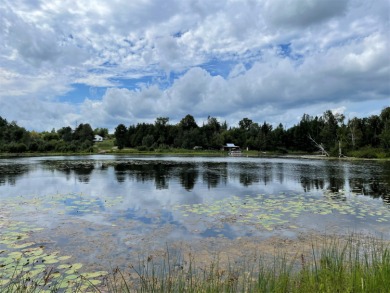 Wildwood Lake - Cheboygan County Acreage For Sale in Wolverine Michigan