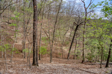 Lake Front 5+ Acres With A View and Wet-Weather Creek! - photo 30
