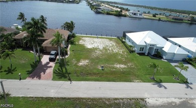 Direct Gulf access. No Bridges. Located on Meadowview Lake with - photo 6
