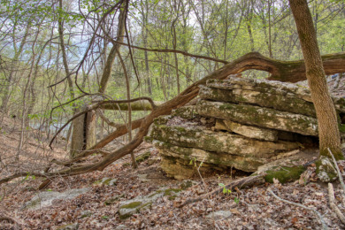 Lake Front 5+ Acres With A View and Wet-Weather Creek! - photo 27