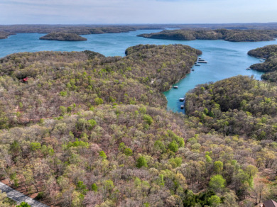 Lake Front 5+ Acres With A View and Wet-Weather Creek! - photo 9