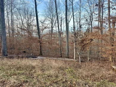 Lake Lot For Sale in Nancy, Kentucky