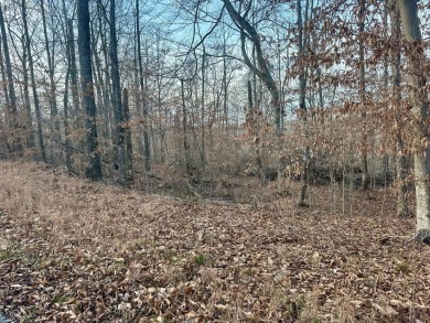 Lake Lot For Sale in Nancy, Kentucky